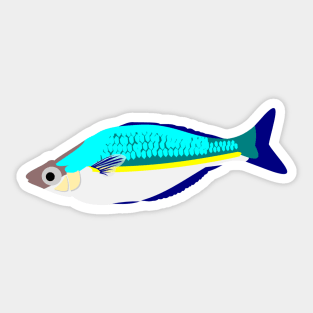 Bosemans Rainbowfish Sticker